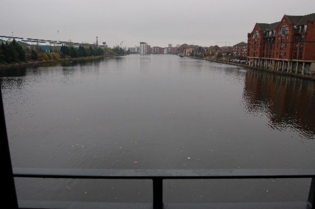 DSC_0514.jpg