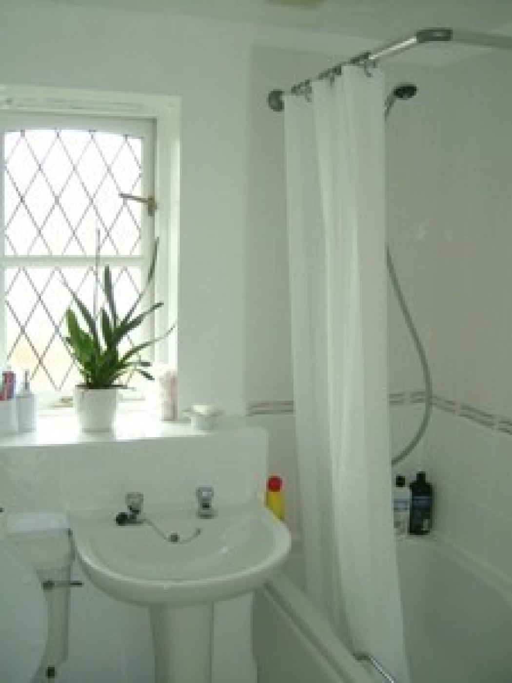 bathroom300pxl.jpg